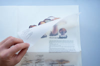 A Mycological Foray / John Cage