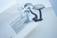 A Mycological Foray / John Cage