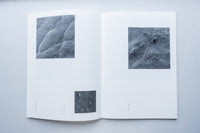 Alternative Moons / Robert Pufleb & Nadine Schlieper