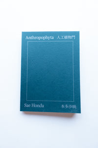 Anthropophyta / 人工植物門 / 本多沙映