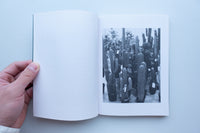 Anthropophyta / 人工植物門 / 本多沙映