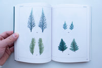 Anthropophyta / 人工植物門 / 本多沙映