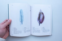 Anthropophyta / 人工植物門 / 本多沙映