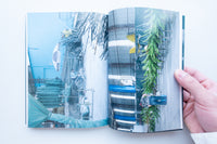 Anthropophyta / 人工植物門 / 本多沙映