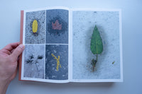 Book of Plants / Anne Geene