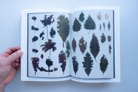 Book of Plants / Anne Geene