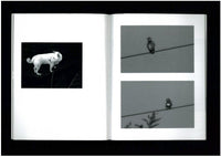 CIRCA / fumiko imano