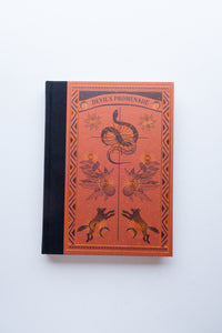 Devil’s Promenade / Antone Dolezal, Lara Shipley