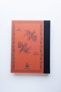 Devil’s Promenade / Antone Dolezal, Lara Shipley