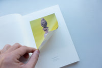 DOROTHY / Takahiro Murahashi