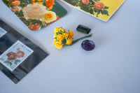 09. 夢の花園セット やまぶき色 / 小林エリカ