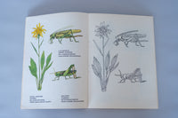 19. 自然と触れ合いたいセット / 小林エリカ