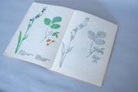 19. 自然と触れ合いたいセット / 小林エリカ