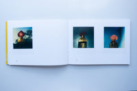 Polaroids - Flora / Robby Muller