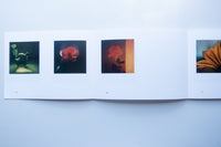 Polaroids - Flora / Robby Muller