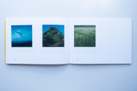 Polaroids - Flora / Robby Muller
