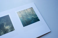 Polaroids - Flora / Robby Muller
