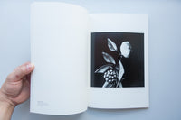 Holy Cow / Tomoo Gokita