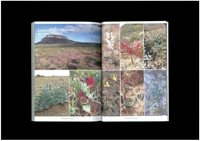 UNDERGROUNDS “CAPE BULB BOOK”