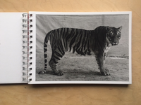 “Click,” said the camera. (reprint 2017) / Balthasar Burkhard, Markus Jakob