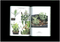 UNDERGROUNDS “CAPE BULB BOOK”