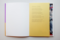 Hypermarche – Novembre / 大型スーパー 11月 /  Michel Houellebecq, 題府基之