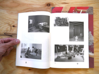 Twin Fields, Field, Fieldworks / Anne Hardy