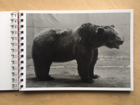 “Click,” said the camera. (reprint 2017) / Balthasar Burkhard, Markus Jakob