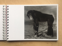 “Click,” said the camera. (reprint 2017) / Balthasar Burkhard, Markus Jakob