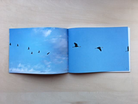 murren vol.20: WANDERVOGEL