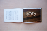 murren vol.23: 山の拾いもの