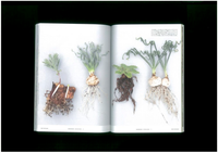 UNDERGROUNDS “CAPE BULB BOOK”