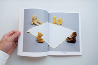Fortress of Solitude / Mike Kelley - Utrecht Fortress of Solitude / Mike Kelley - Utrecht
