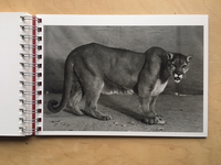 “Click,” said the camera. (reprint 2017) / Balthasar Burkhard, Markus Jakob