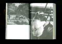 A Zoo for Chris Marker