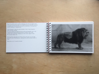 “Click,” said the camera. (reprint 2017) / Balthasar Burkhard, Markus Jakob