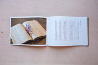 murren vol.23: 山の拾いもの