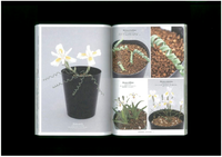 UNDERGROUNDS “CAPE BULB BOOK”