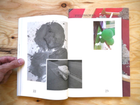 Twin Fields, Field, Fieldworks / Anne Hardy