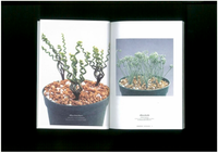 UNDERGROUNDS “CAPE BULB BOOK”