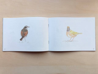 murren vol.20: WANDERVOGEL