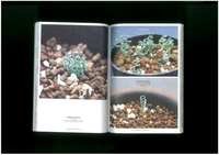 UNDERGROUNDS “CAPE BULB BOOK”