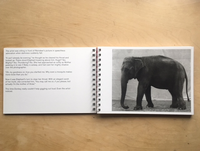 “Click,” said the camera. (reprint 2017) / Balthasar Burkhard, Markus Jakob