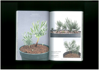 UNDERGROUNDS “CAPE BULB BOOK”