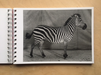 “Click,” said the camera. (reprint 2017) / Balthasar Burkhard, Markus Jakob