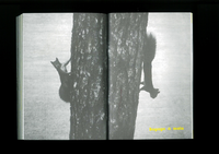 A Zoo for Chris Marker