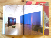 Twin Fields, Field, Fieldworks / Anne Hardy