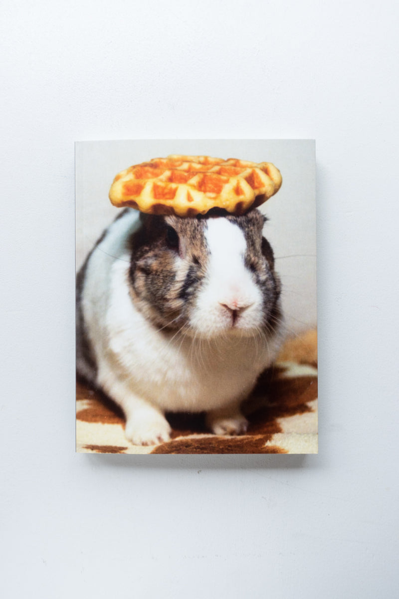 signed) In Almost Every Picture #8 / Erik Kessels, Hironori