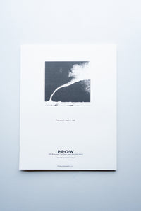 In the Shadow of Forward Motion  / David Wojnarowicz