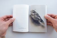 Magnetics / Michael Borremans